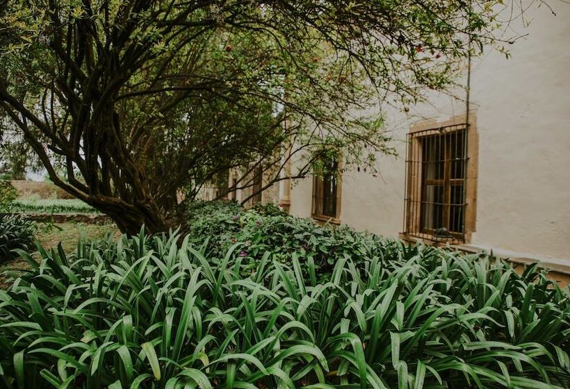 בית מלון כפרי Hacienda Real Love & Wellness San Miguel De Allende