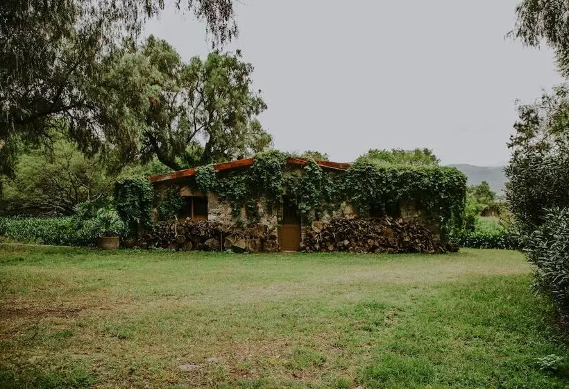 Hotelli Hacienda Real Love & Wellness San Miguel De Allende