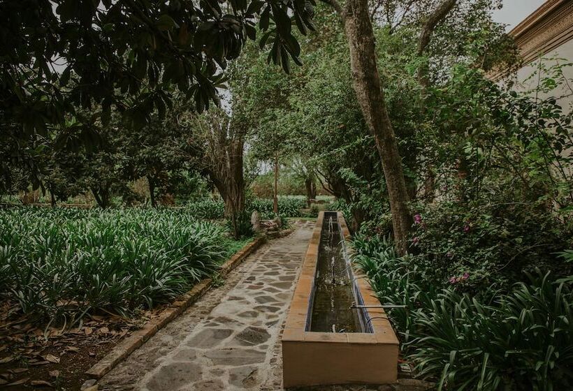 בית מלון כפרי Hacienda Real Love & Wellness San Miguel De Allende