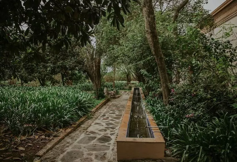 Hotelli Hacienda Real Love & Wellness San Miguel De Allende