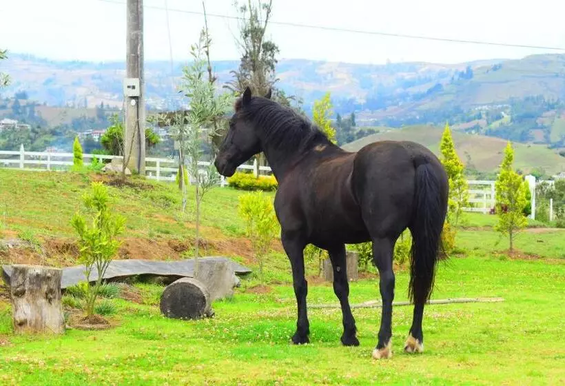 ホテル Rancho Tierra Firma San Miguel De Bolivar