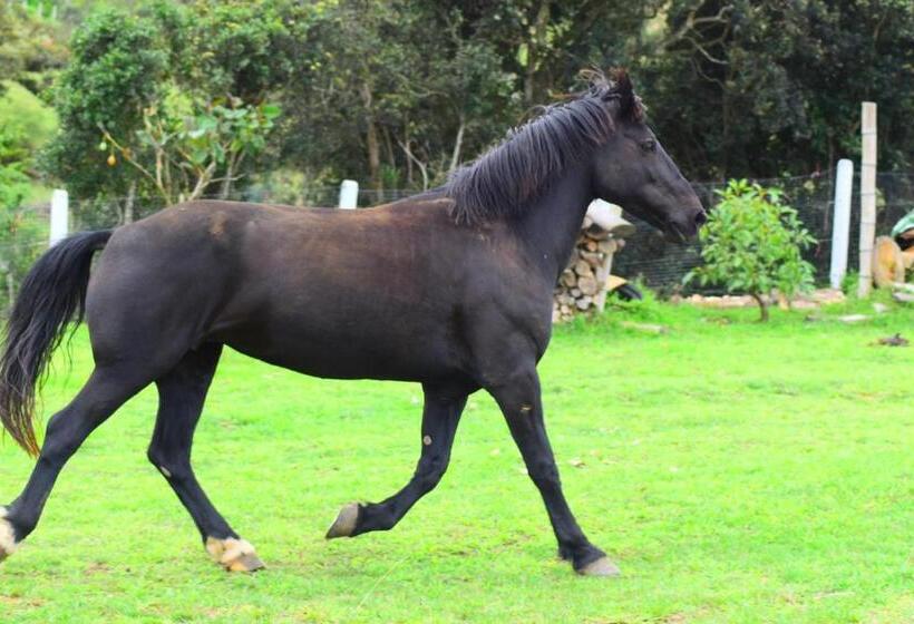 호텔 Rancho Tierra Firma San Miguel De Bolivar