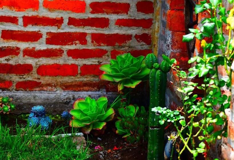 호텔 Rancho Tierra Firma San Miguel De Bolivar