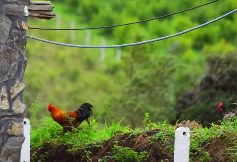 ホテル Rancho Tierra Firma San Miguel De Bolivar