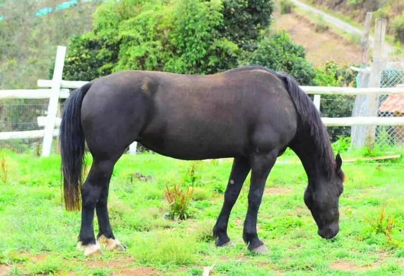 ホテル Rancho Tierra Firma San Miguel De Bolivar