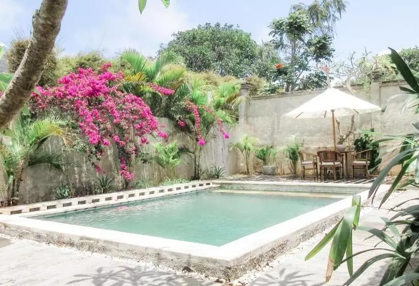 ペンション Matapalo Bungalows Uluwatu