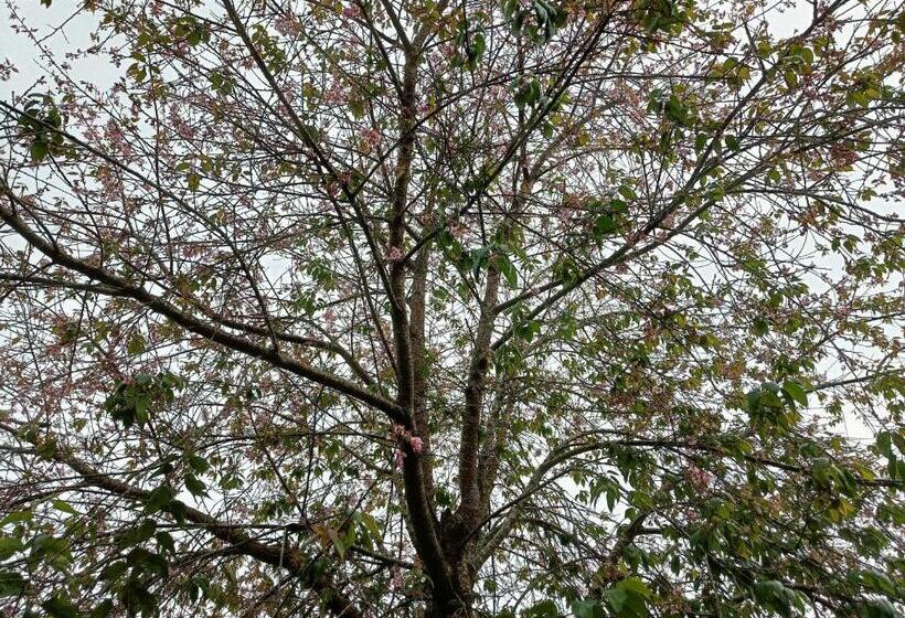 Majatalo Le Cozy Huts