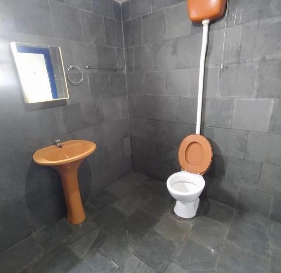 Пансион Pousada Casarão