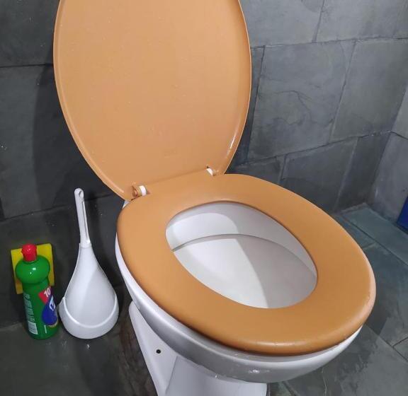 Пансион Pousada Casarão