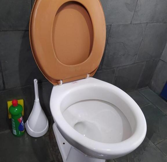 Пансион Pousada Casarão