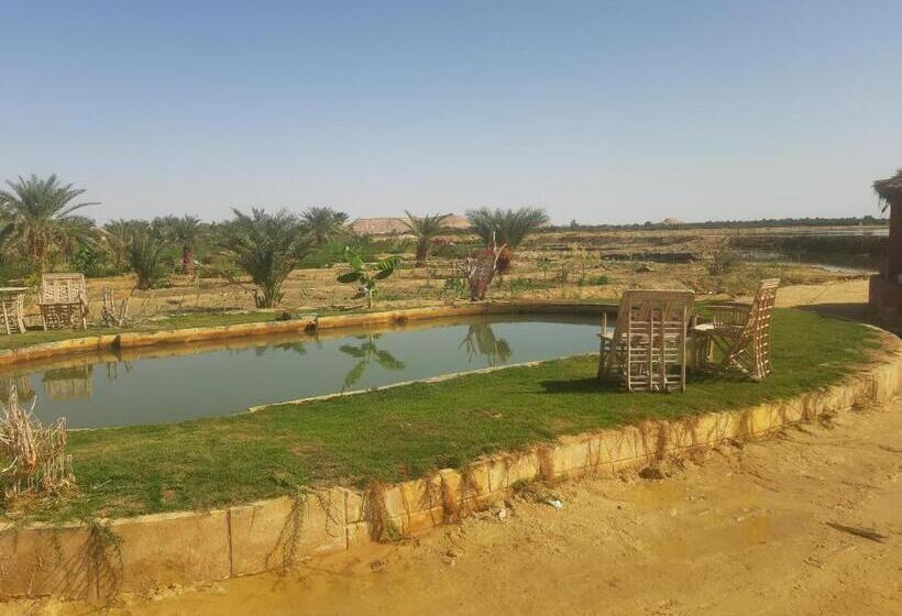 استراحتگاه M Biama Island