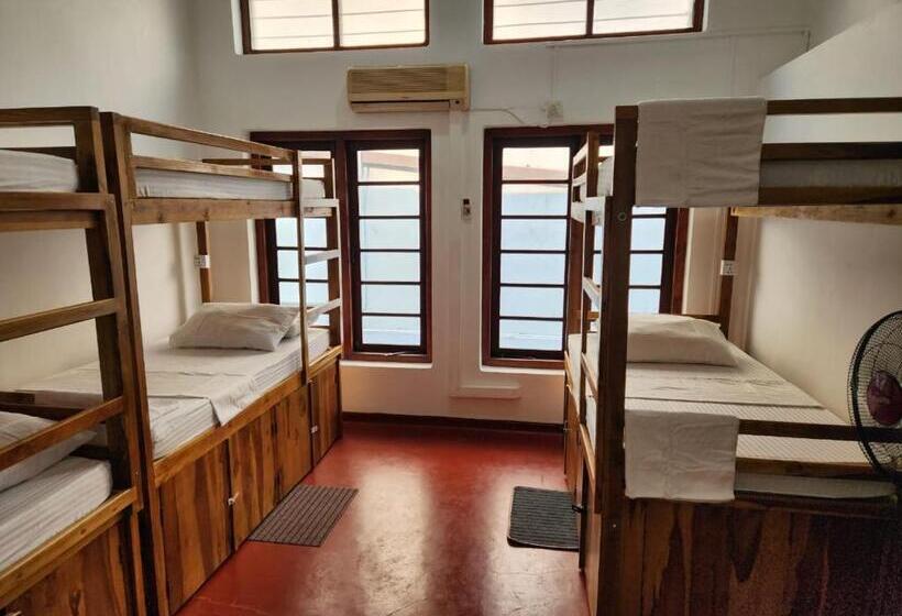 旅馆 Ceylon Stayz