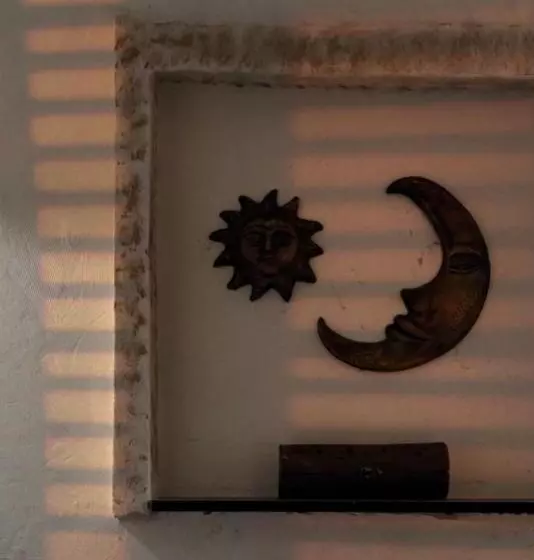 هاستل My Friendly