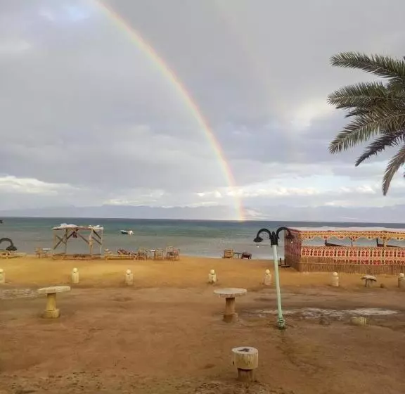 هتل Hala Comp