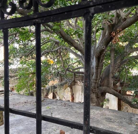 Otel Místico Hostal