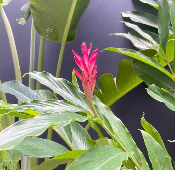 Otel Místico Hostal