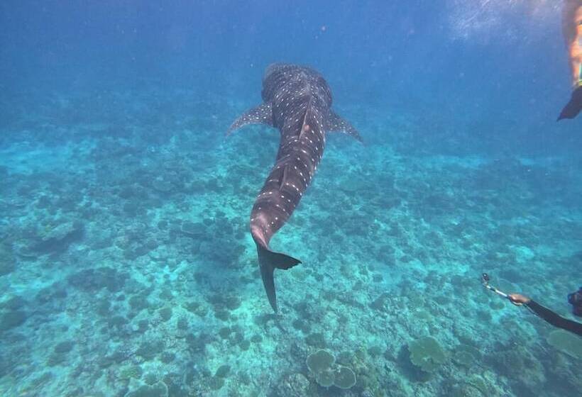 Hotell Raalhu Fonu Maldives