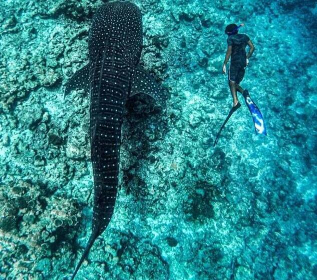 Hotell Raalhu Fonu Maldives