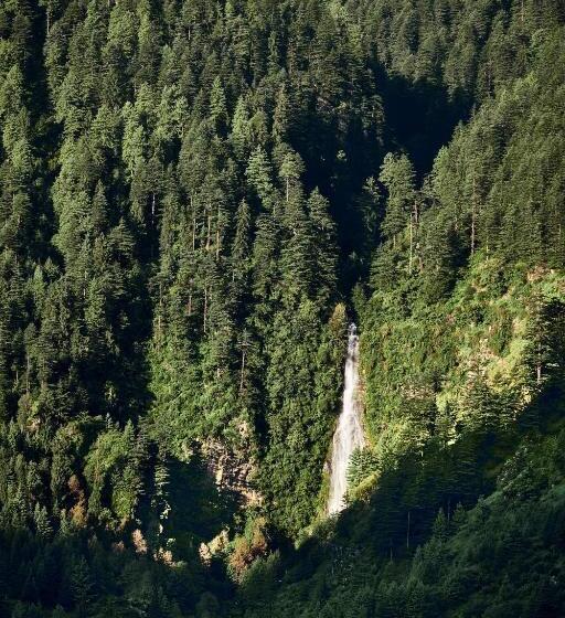 酒店 Warehouse Suites And Loft