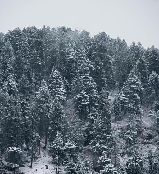 酒店 Warehouse Suites And Loft