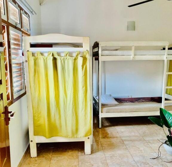 Majatalo Dreamy Surf House