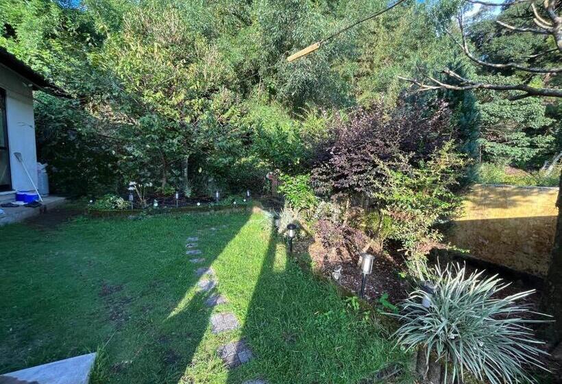 Pensió Guest House Heart   Vacation Stay 98762v