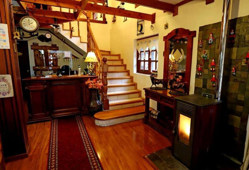 Pension Hostal Collins House