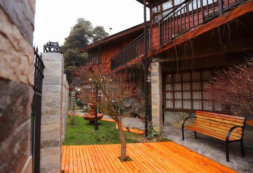 Pension Hostal Collins House