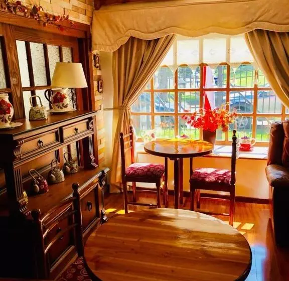 Majatalo Hostal Collins House