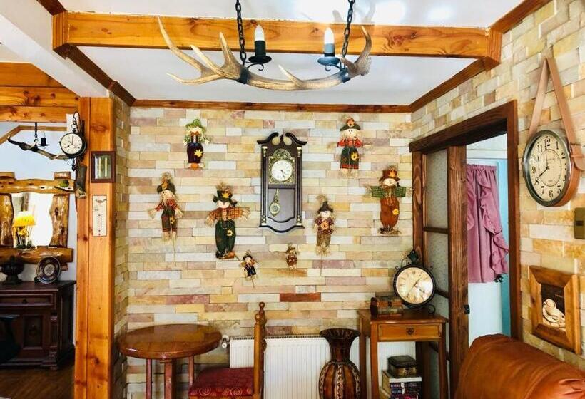 Pension Hostal Collins House