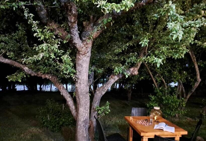 פנסיון Hostel El Limon