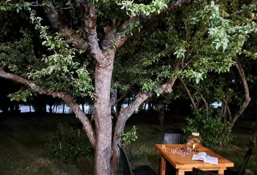 Majatalo Hostel El Limon