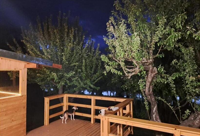 פנסיון Hostel El Limon