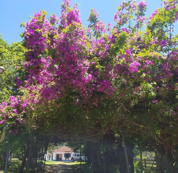 旅馆 Pousada Sino Dos Ventos