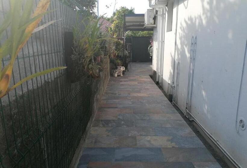 تختخواب و صبحانه Anae