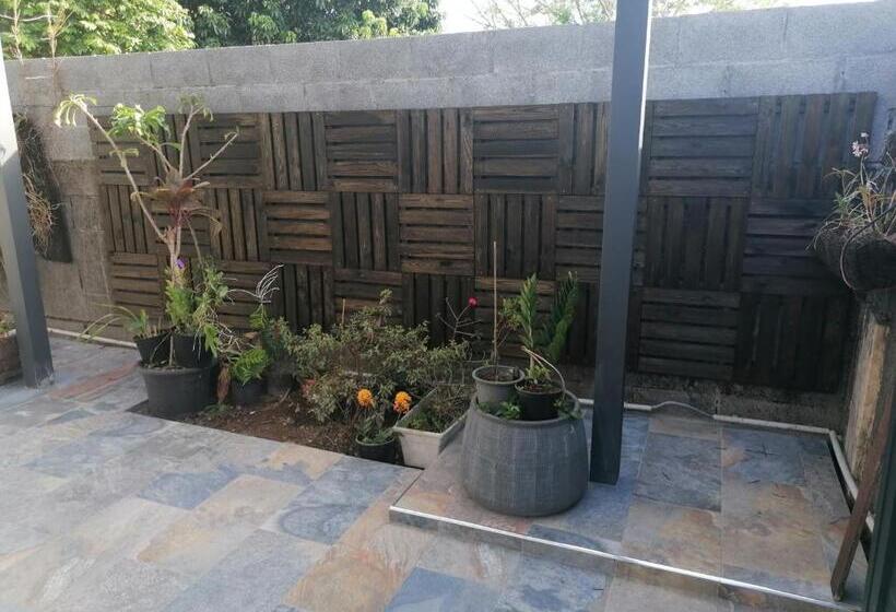 تختخواب و صبحانه Anae