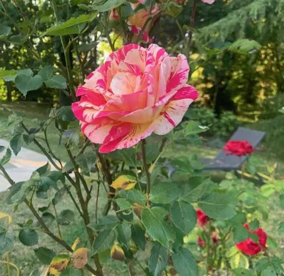 ベッドアンドブレックファースト Suite Près De Chambord