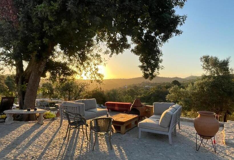 住宿加早餐  White Egret