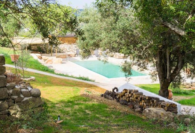 住宿加早餐  White Egret