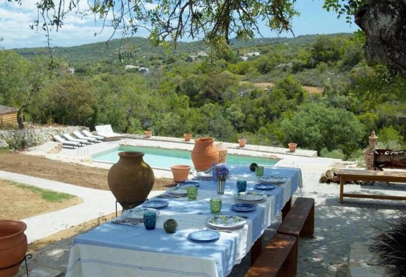 住宿加早餐  White Egret