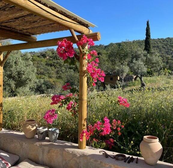 住宿加早餐  White Egret