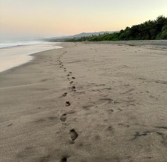 ホテル Desa Cabins