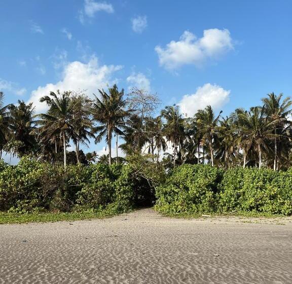 ホテル Desa Cabins