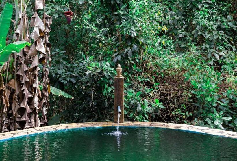 Mentepura Yoga Hostel