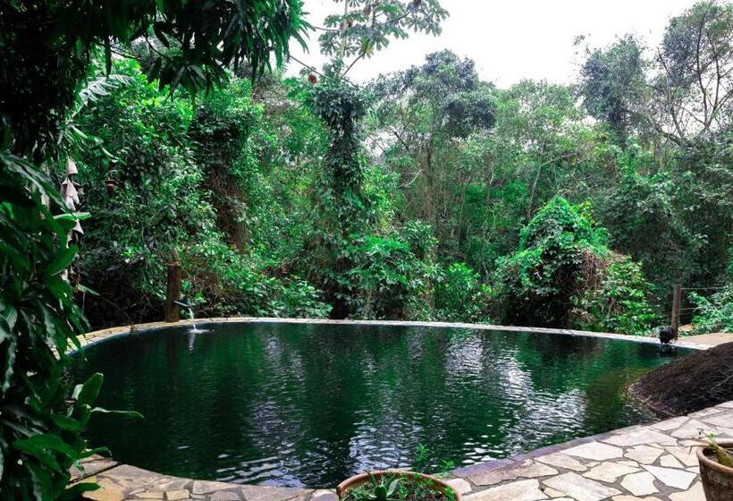 Mentepura Yoga Hostel