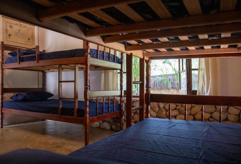 Mentepura Yoga Hostel