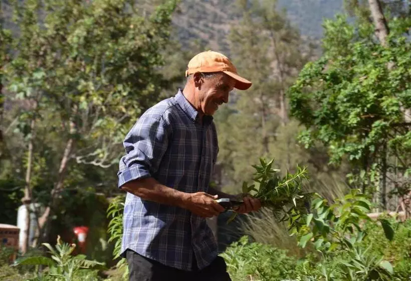 Majatalo Dar Arraha Ouirgane