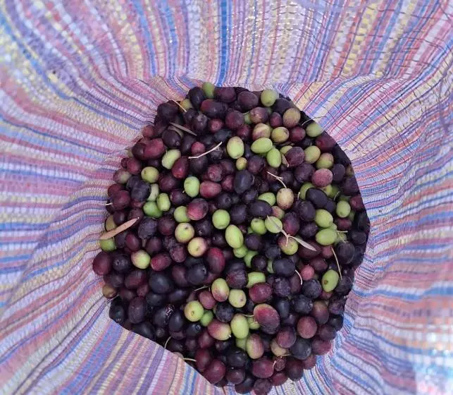 Majatalo Dar Arraha Ouirgane