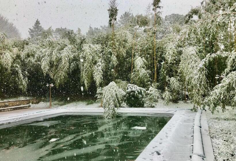 Radius Horse Ranch B&b