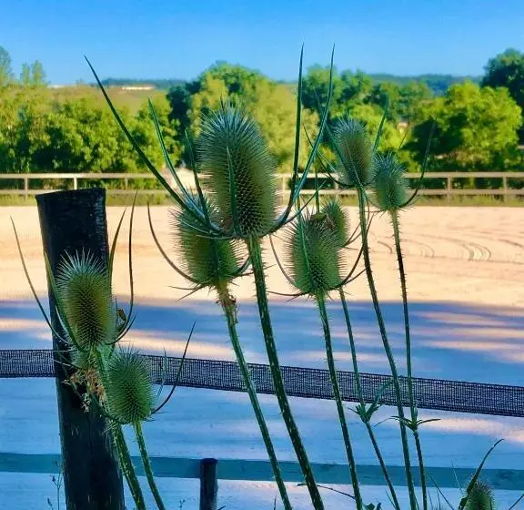 Radius Horse Ranch B&b